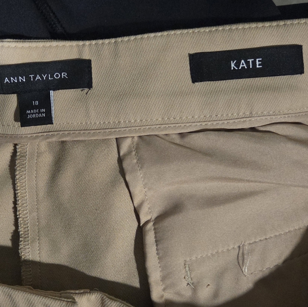 Ann Taylor Tan Pants - Picture 6 of 6